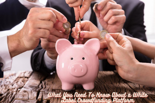 Crowdfunding Platform Development