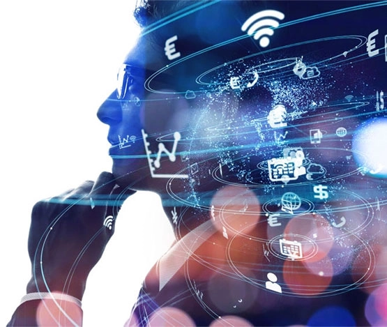 Cryptocurrency MLM Software