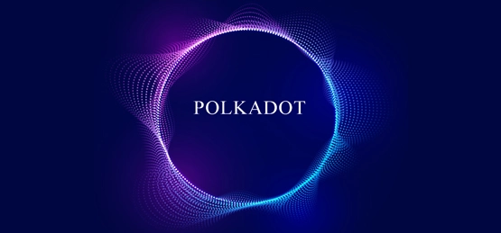 Polkadot Development